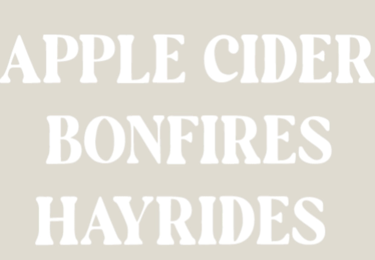 RTS Heat Press Transfer Apple Cider,Hayride & Bonfires